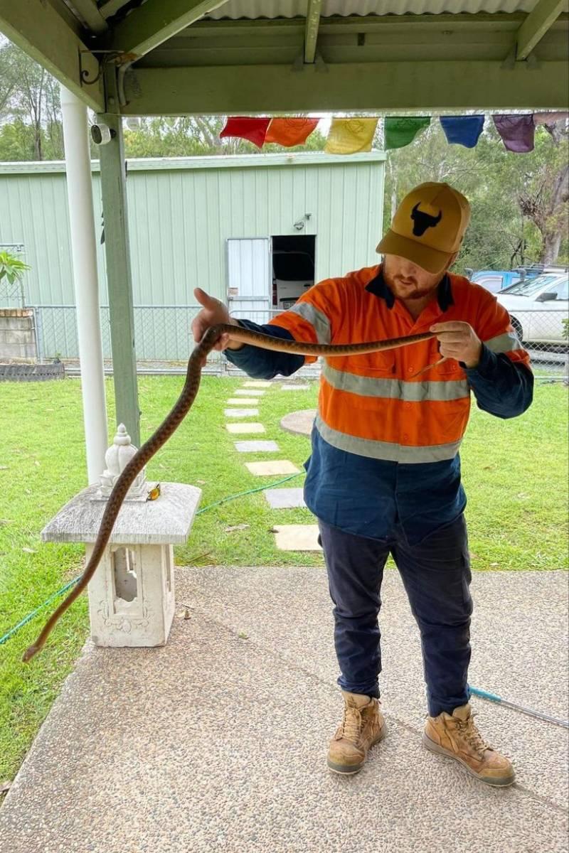 14-Foot Snake Skin Uncovered In Attic Leads To An Astonishing Discovery